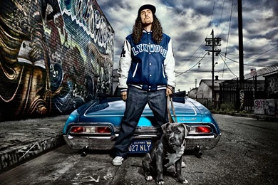 Weird Al Yankolvic   BANDSWALLPAPERS