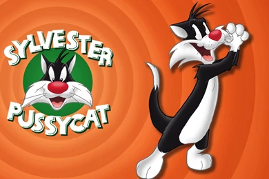 Sylvester The Cat Wallpapers   Wallpapers Cave