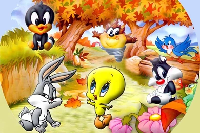 Images Of Baby Looney Tunes   Desktop Backgrounds