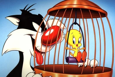 Magazine Wallpaper: Looney Toons Wallpaper,Cartoons Wallpapers ...