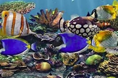 3D Live Wallpapers Free Download   Wallpapers HD Base