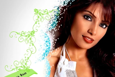 Bipasha Basu Wallpapers HD, Bipasha Basu HD Wallpapers