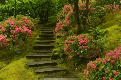 Nature Live Wallpapers HD Free Download For Laptop