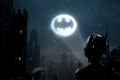 Batman Logo Catwoman Batman Wallpapers