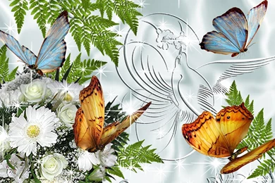 Beautiful Butterfly Wallpapers   Wallpapers Cave