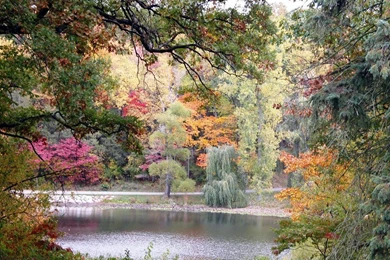 Wallpaper: Exclusive Wallpapers Nature