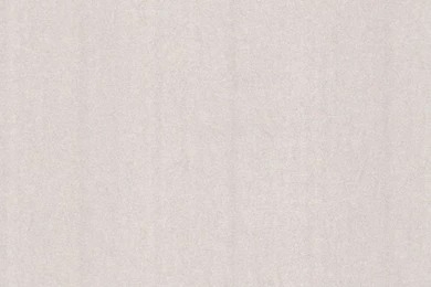 302087 Silver Rice Paper   Eijffinger Wallpapers