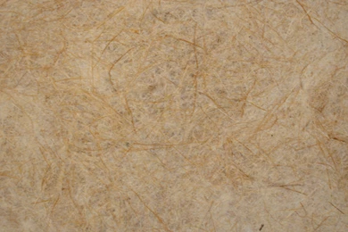 Paper ，图片新闻  嘀呀嘀搜索