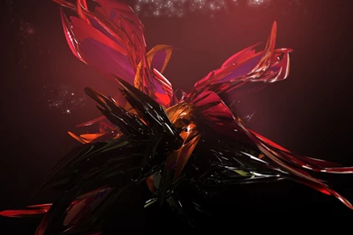 Graphic HD Vector Wallpapers Design