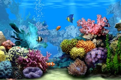 Animated Desktop Wallpapers Collection (44+)