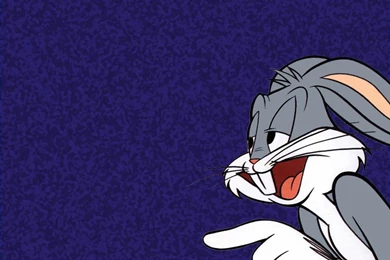 Funny Bugs Bunny Cartoon 28 Cool Hd Wallpapers   Funnypicture.org