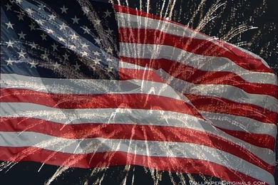 Other Archives   Page 91 Of 105   Wallpoop   The Wallpapers Site ...