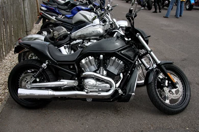 Black Beast Harley Davidson Bike Fabulous Hd Wallpapers