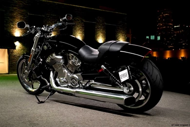 Harley Davidson Hd Wallpapers