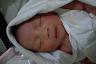 Hd Wallpapers For Phones: Cute Wallpapers For Cell Phones