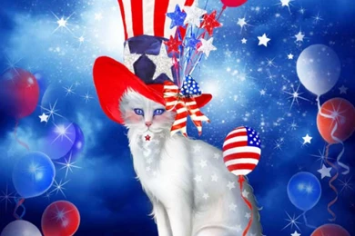 Cat In Patriotic Hat   (