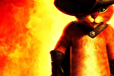 Puss In Boots Red Hat Fire Cat Cats Fantasy Movies Wallpapers ...