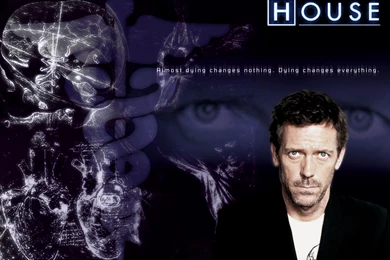 House Md Wallpapers Hd Images