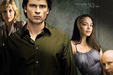 Allison Mack   Allison Mack Wallpapers (11078048)   Fanpop