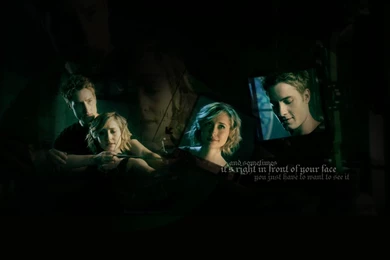 AllisonWallpapers!   Allison Mack Wallpapers (20066646)   Fanpop