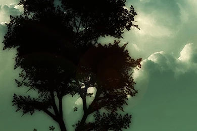 Cool iPhone 6s / Plus Wallpapers HD