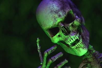 Download Skulls Skeletons Wallpapers 1600x900