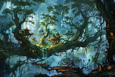 122 Forest HD Wallpapers