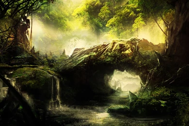 Fantasy Forest Backgrounds 4K Download