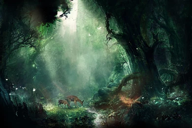 Fantasy Forest Ultra HD 4K Wallpapers Download High Quality