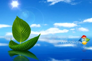 Windows 8 Desktop Backgrounds Downloads