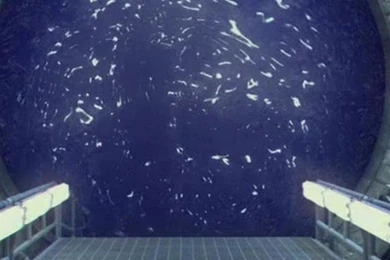 Hd Stargate Sg1 Mobile Phone Wallpapers 1080x1920