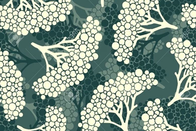 Modern Pattern Wallpapers