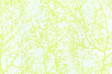 Vinyl Wallpapers / Modern / Nature Pattern / Green   GRAPHICS ALIVE ...