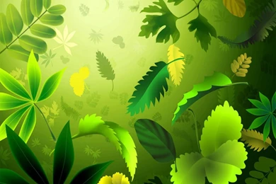 Green Leaf Pattern Wallpapers
