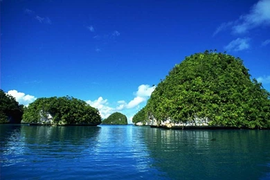 Desktop Wallpapers Download Free,desktop Wallpapers