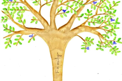 Family Tree Backgrounds