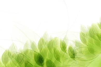 Nice Green Leaves Vector Wallpaper, Green Backgrounds, Pictures ...
