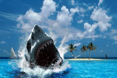 Cool Wallpapers 884   HD Wallpapers