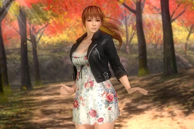 Image   DOA5U Kasumi Casual.jpg   Dead Or Alive Wiki   Wikia