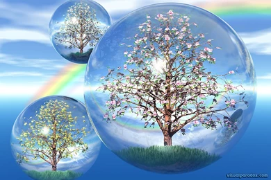 3d Flower Wallpapers