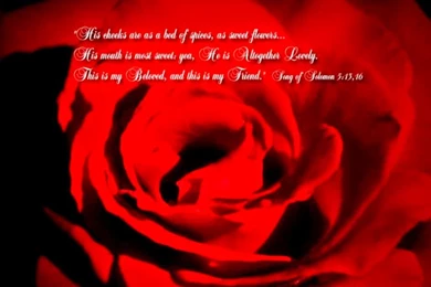 Christian Backgrounds For Computer Screen