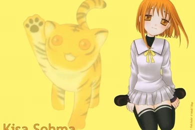 Fruits Basket Wallpaper  Kisa Sohma