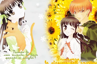 Fruits Basket