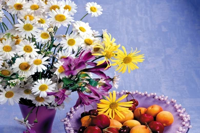 Fruit Basket Strawberry Wallpapers HD Download Desktop