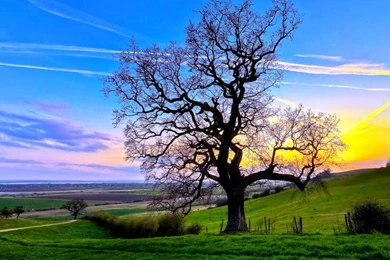 Computer Desktop HD Wallpapers