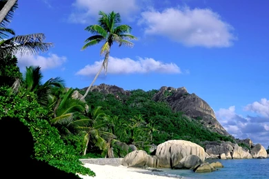 Free Downloadable Desktop Wallpapers   3 Items