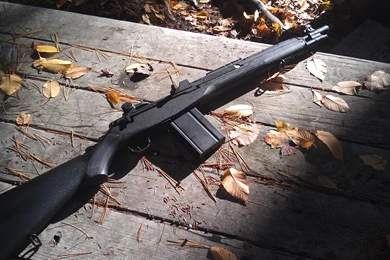 US Socom 16/ M14 By Wolf999679 On DeviantArt