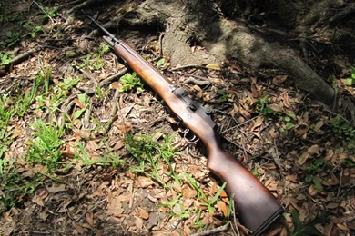 Gasguns.info Forum • View Topic   WE M14