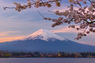 Mount Fuji Wallpapers High Quality Picture Id: 10743e   Pacify Mind