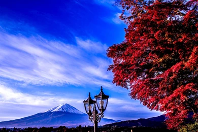 Mount Fuji Wallpapers High Resolution